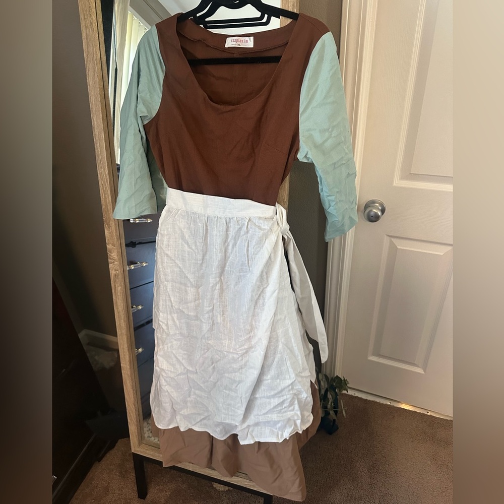 Cinderella Maid Costume